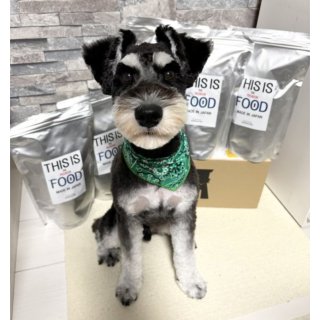 【食いつき◎！】