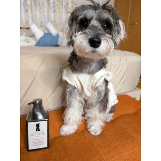 【短時間でフワフワ】