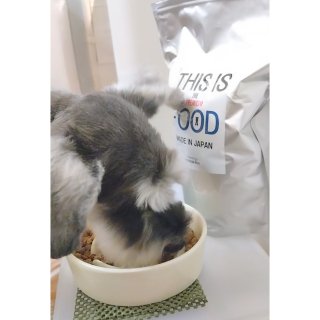 【食いつき抜群！】