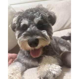 【食いつき◎】