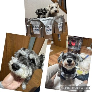 【髭やけが茶色から白へ！】