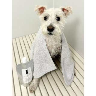 サラサラになるシャンプー