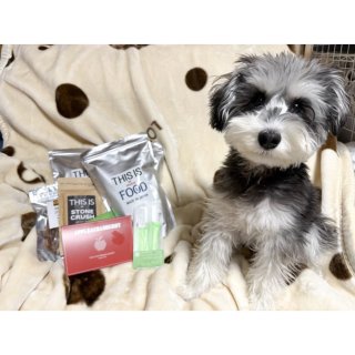 【急性膵炎後このフードへ】