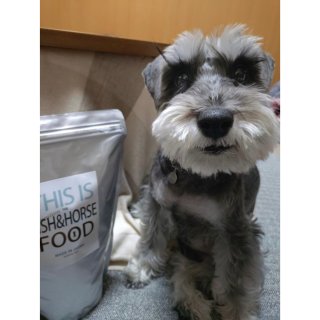 【初めての馬タラ】