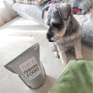 【うちのコ達に！】