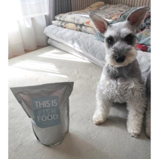 【我が家の愛犬達に！】