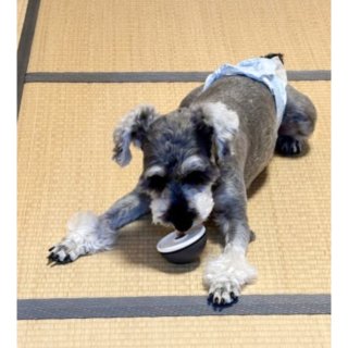 【丸呑み対策に！】