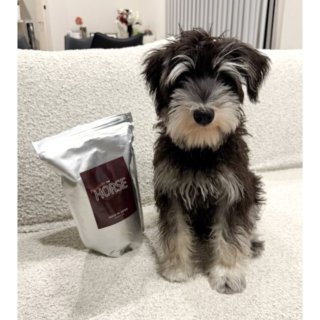 【馬肉デビュー！】