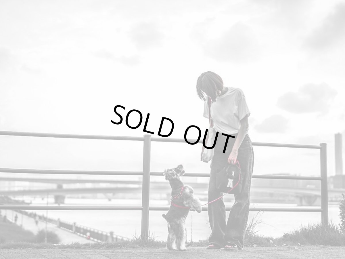 mmsu-haトートバッグ小　お散歩時に