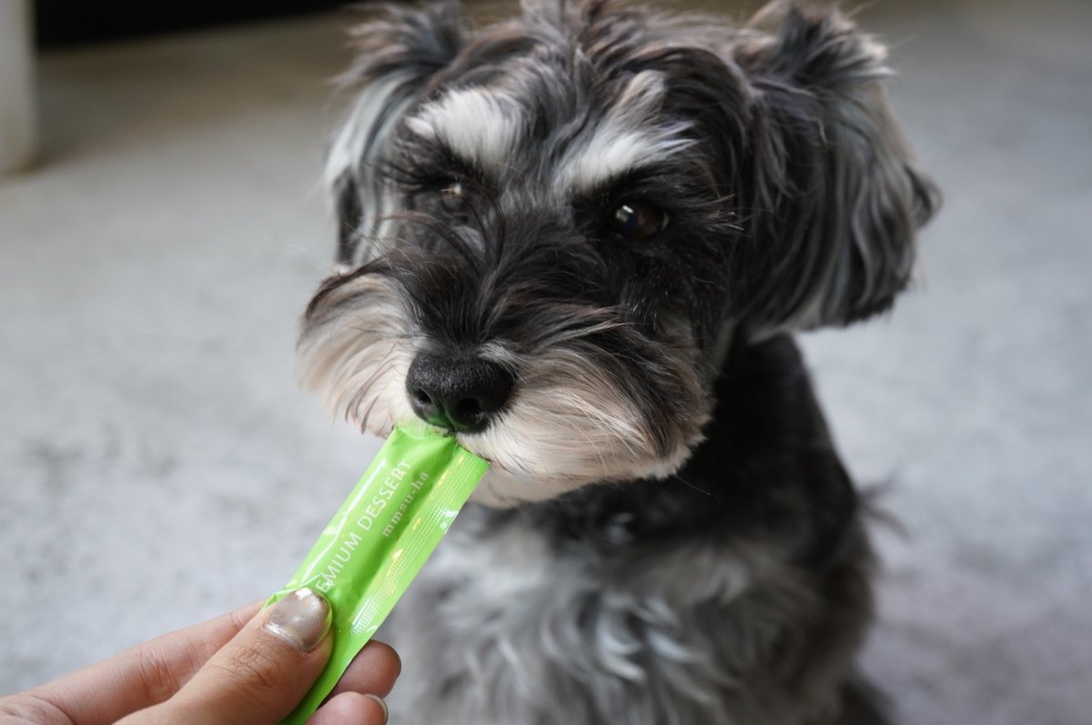 シュナウザーなどでお困りのシュウ酸カルシウム結晶・結石予防や尿路感染症・膀胱炎のケアに【飲むデザートサプリ/青リンゴジュースに】mmsu-ha(エムエムスーハ)プレミアム犬用デザートサプリメント