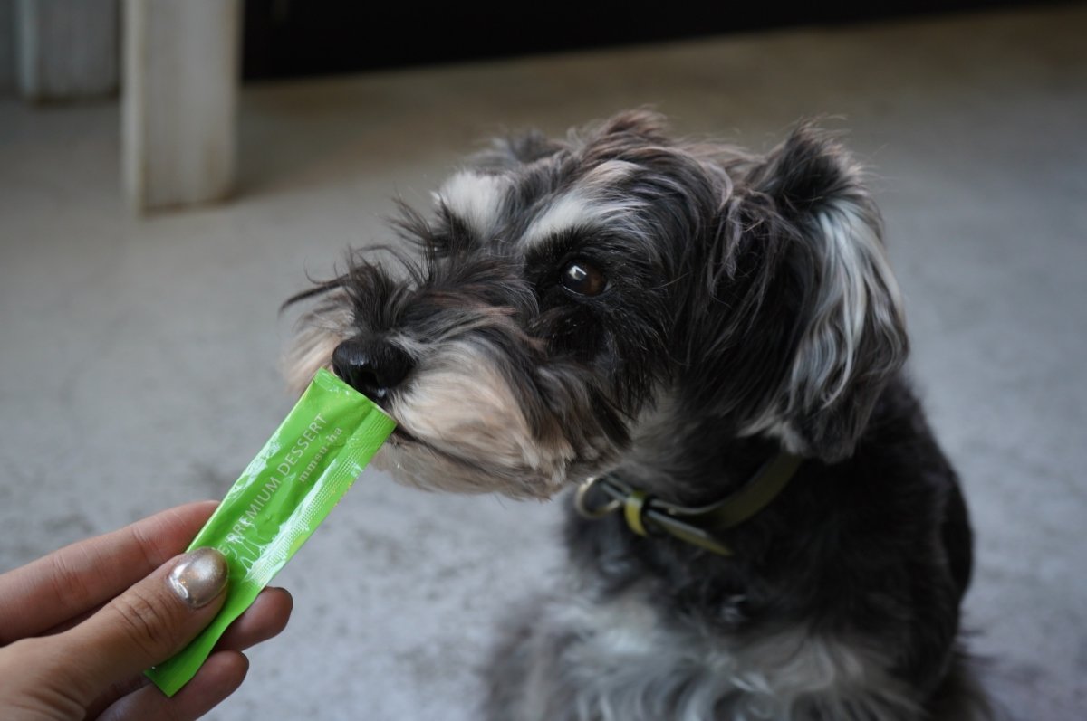 シュナウザーなどでお困りのシュウ酸カルシウム結晶・結石予防や尿路感染症・膀胱炎のケアに【飲むデザートサプリ/青リンゴジュースに】mmsu-ha(エムエムスーハ)プレミアム犬用デザートサプリメント