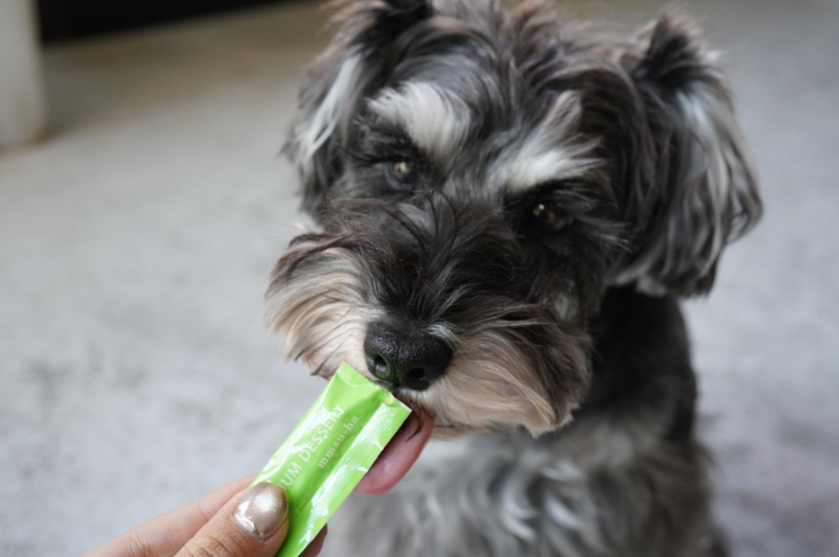 シュナウザーなどでお困りのシュウ酸カルシウム結晶・結石予防や尿路感染症・膀胱炎のケアに【飲むデザートサプリ/青リンゴジュースに】mmsu-ha(エムエムスーハ)プレミアム犬用デザートサプリメント