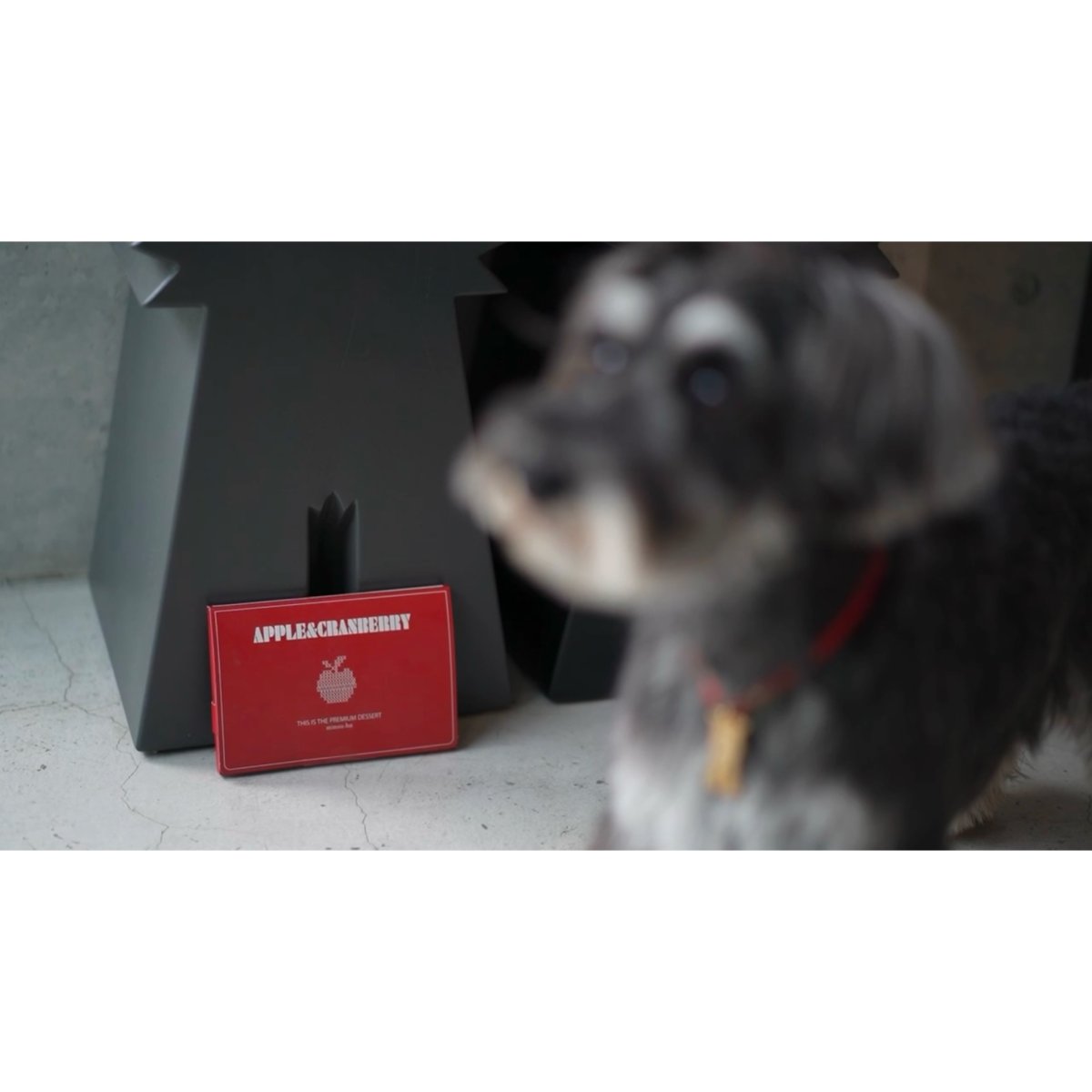 シュナウザーなどでお困りのストルバイト結晶・結石と胆泥・胆石の予防に【飲むデザートサプリ/赤リンゴジュースに】mmsu-ha(エムエムスーハ)プレミアム犬用デザートサプリメントアップル&クランベリー＆ウラジロガシ