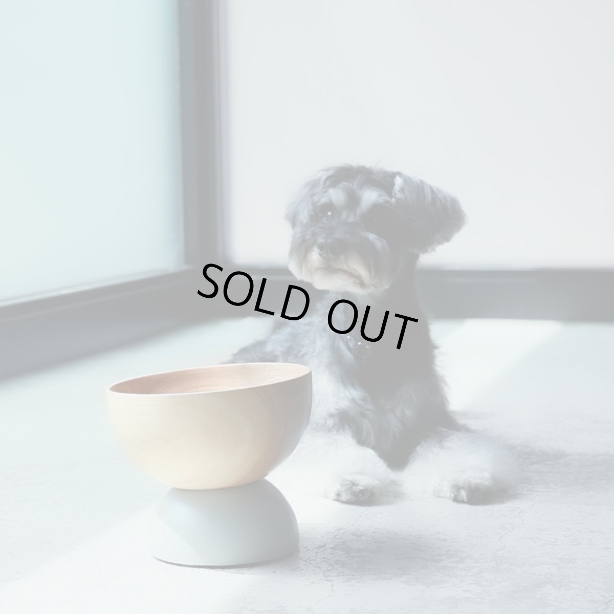 画像2: マグネットフードボウル (2)