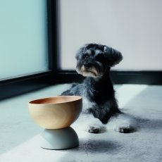 画像2: マグネットフードボウル (2)