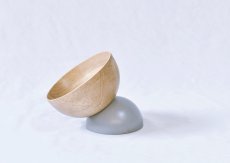 画像4: マグネットフードボウル (4)