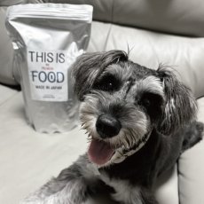 mmsu-ha プレミアムドッグフードのパッケージとくつろぐミニチュア・シュナウザーのレビュー写真