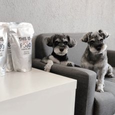 mmsu-ha プレミアムドッグフードのパッケージとソファに並ぶ2匹のミニチュア・シュナウザーのレビュー写真