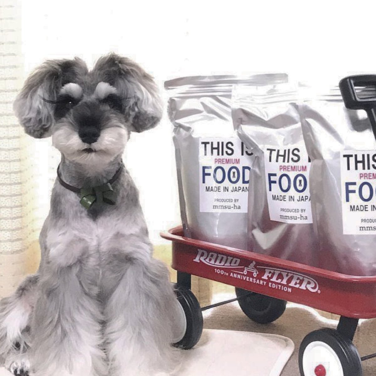 mmsu-ha プレミアムドッグフードを並べたワゴンとミニチュア・シュナウザーの写真