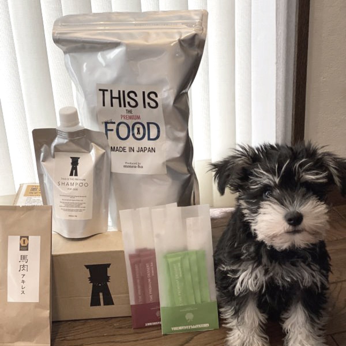 馬肉初回お試し特別セットの横にいるミニチュア・シュナウザー