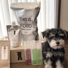 馬肉初回お試し特別セットの横にいるミニチュア・シュナウザー