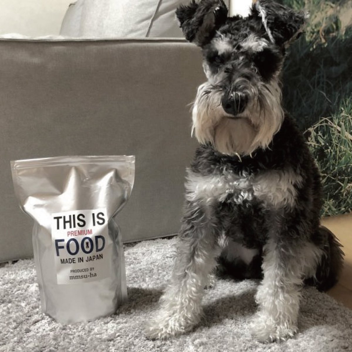 mmsu-ha プレミアムドッグフードのパッケージとミニチュア・シュナウザーのレビュー写真