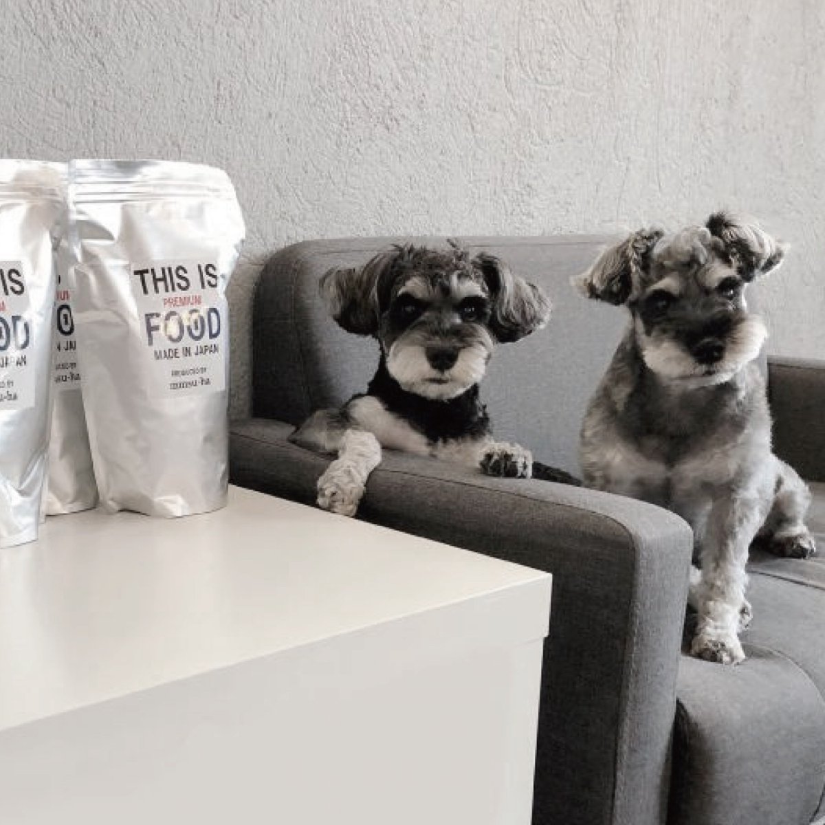 mmsu-ha プレミアムドッグフードのパッケージとソファに並ぶ2匹のミニチュア・シュナウザーのレビュー写真