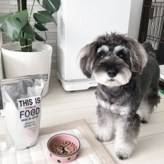 ドッグフードとミニチュア・シュナウザーとの暮らしの写真