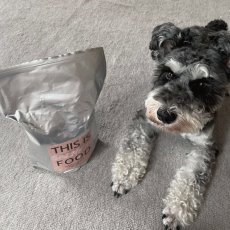 mmsu-ha プレミアムドッグフードサーモン味と寝そべっているミニチュア・シュナウザーのレビュー写真