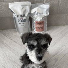 mmsu-ha プレミアムドッグフード（馬肉とサーモン）の前にミニチュア・シュナウザーのレビュー写真