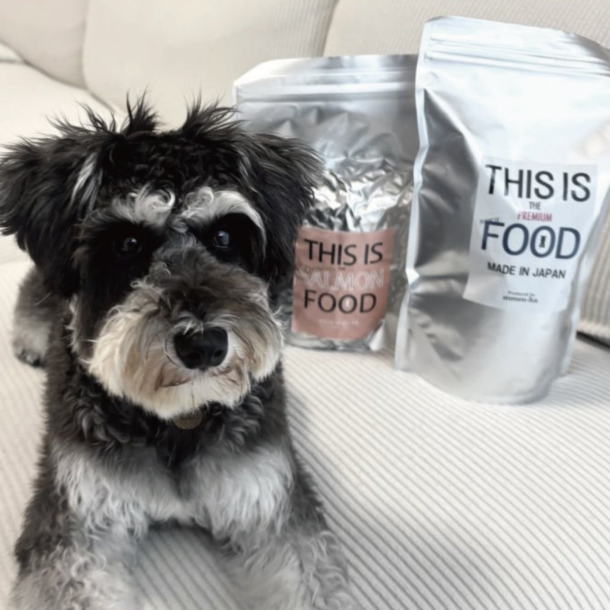 mmsu-ha プレミアムドッグフード（馬肉とサーモン）とミニチュア・シュナウザーのレビュー写真