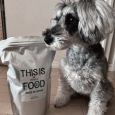 mmsu-ha プレミアムドッグフードと左側を見つめているミニチュア・シュナウザーの写真