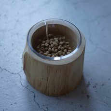 シンプルな器に入ったサーモン味のドッグフード斜めアングル