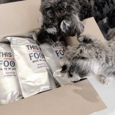 mmsu-ha プレミアムドッグフードが届きミニチュア・シュナウザーが箱の中を覗いている様子