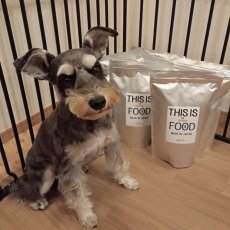 mmsu-ha プレミアムドッグフード5袋とミニチュア・シュナウザーの写真