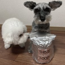 mmsu-ha プレミアムドッグフードサーモン味とミニチュア・シュナウザー２匹のレビュー写真