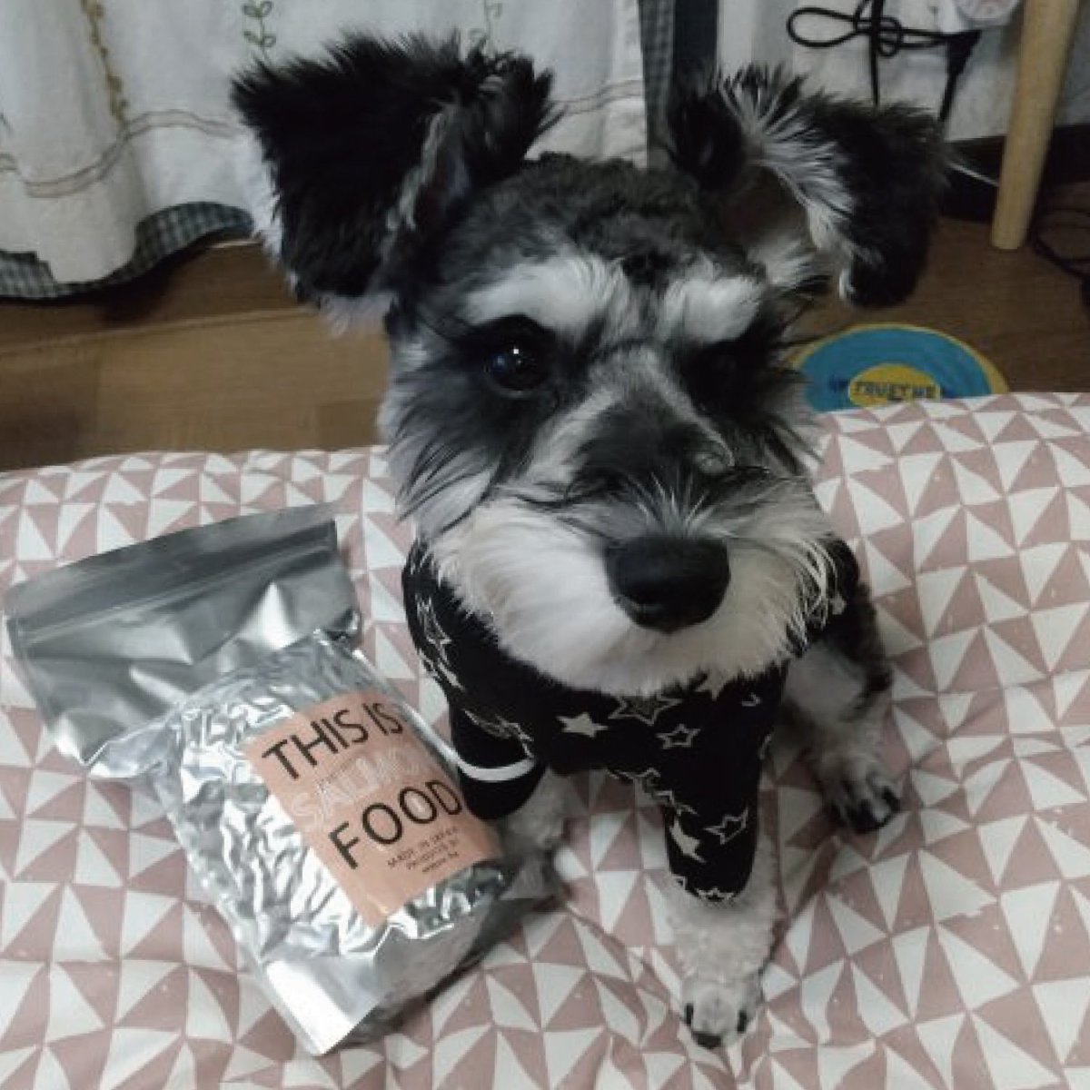 mmsu-ha プレミアムドッグフードサーモン味とミニチュア・シュナウザーの写真