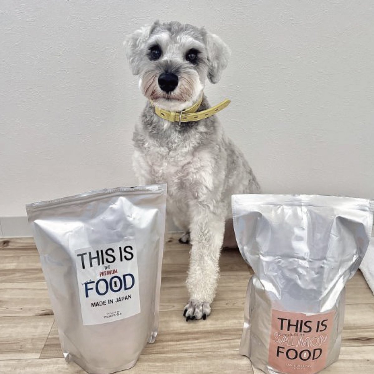 mmsu-ha プレミアムドッグフード（馬肉とサーモン）と後ろにミニチュア・シュナウザーのレビュー写真