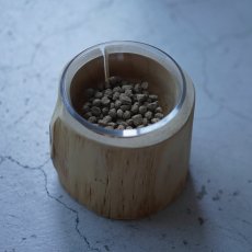 シンプルな器に入ったサーモン味のドッグフード斜めアングル