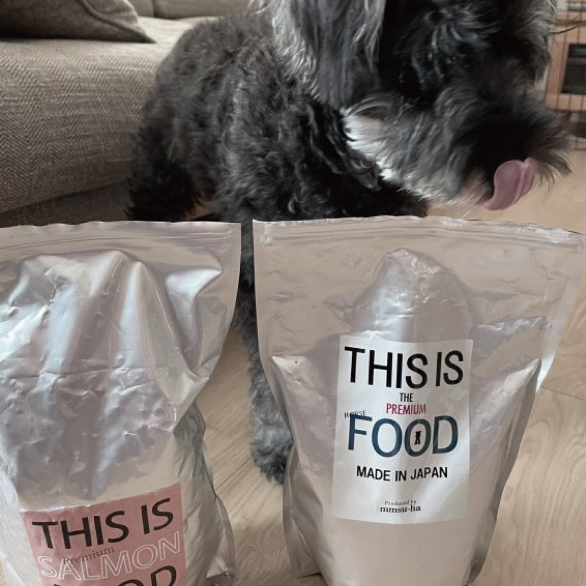 mmsu-ha プレミアムドッグフード（馬肉とサーモン）と舌を出しているミニチュア・シュナウザーのレビュー写真