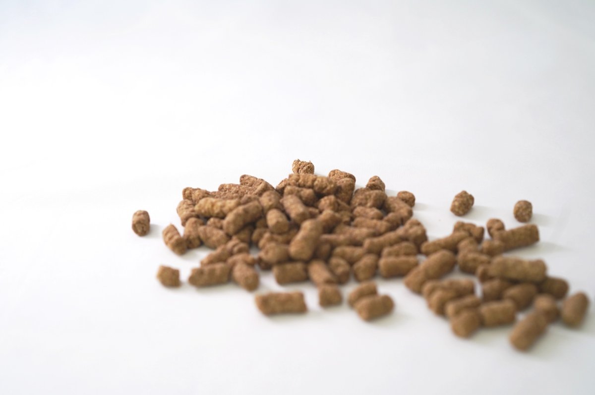 画像2: 【タラ】mmsu-haプレミアムドッグフード1kg袋 (2)