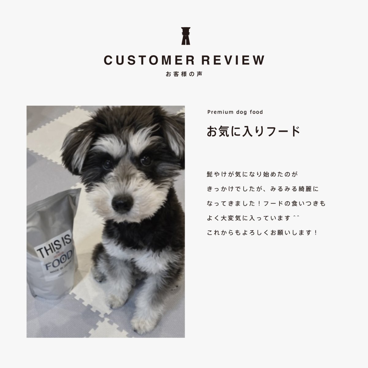 ミニチュアシュナウザーのレビュー、髭やけ改善、mmsu-ha、馬肉ドッグフード