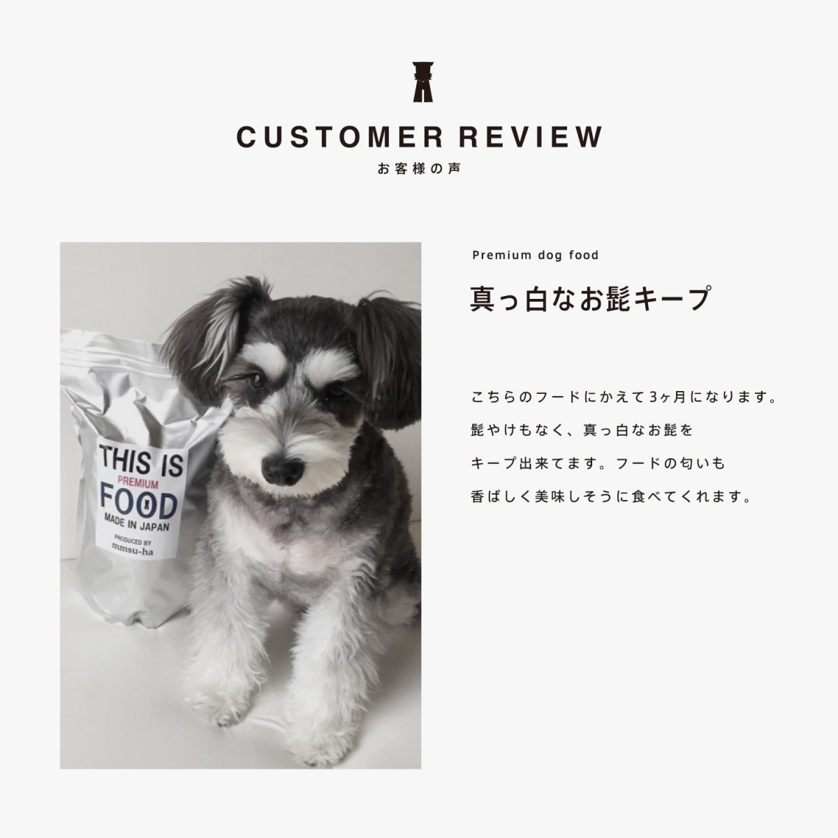 ミニチュアシュナウザーのレビュー、真っ白なお髭をキープ、mmsu-ha、馬肉ドッグフード