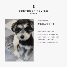 ミニチュアシュナウザーのレビュー、髭やけ改善、mmsu-ha、馬肉ドッグフード