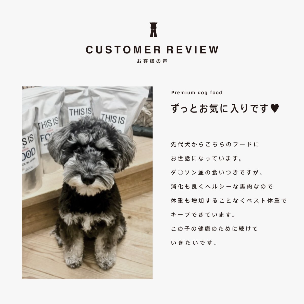 ミニチュアシュナウザーのレビュー、食いつきがいい、mmsu-ha、馬肉ドッグフード