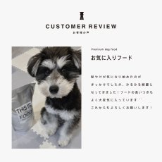 ミニチュアシュナウザーのレビュー、髭やけ改善、mmsu-ha、馬肉ドッグフード