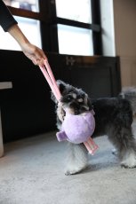 画像6: 【おもちゃ】BIG BALL TOY パープル【mmsu-ha】 (6)