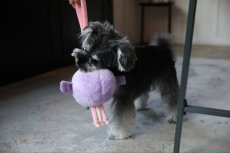 画像7: 【おもちゃ】BIG BALL TOY パープル【mmsu-ha】 (7)