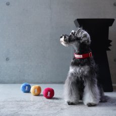 mmsu-ha TOYボール/シュナウザーにオススメサイズの犬用おもちゃボールトイ