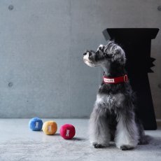 mmsu-ha TOYボール/シュナウザーにオススメサイズの犬用おもちゃ